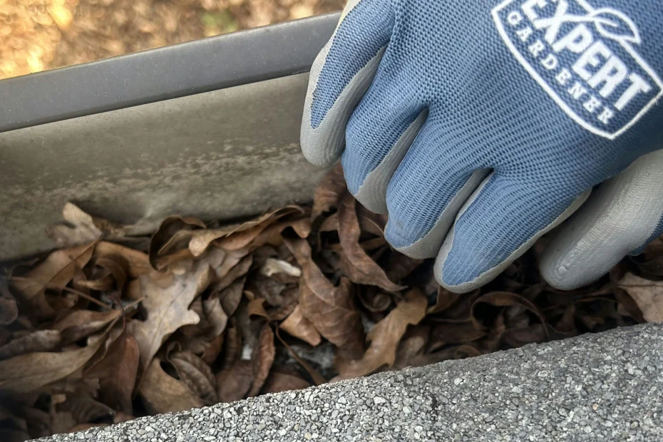 Gutter Cleaning Alvin, TX