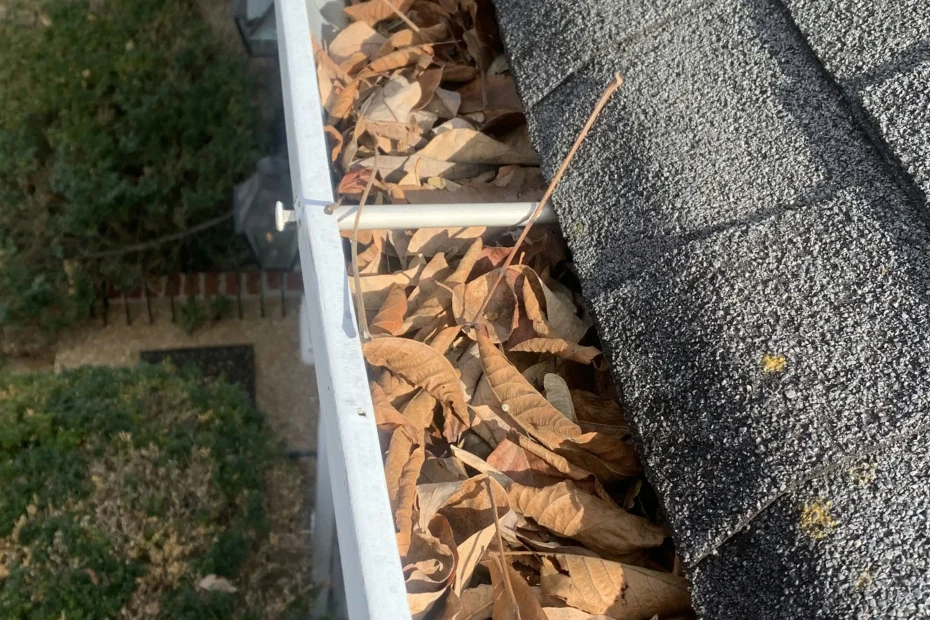 Gutter Cleaning Alvin, TX